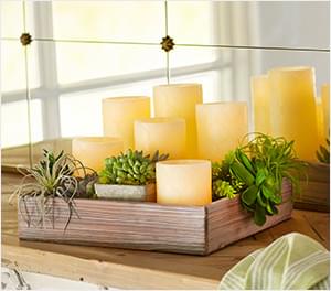 Candles & Fragrances