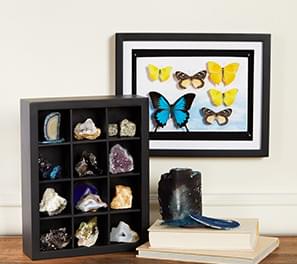 Shadow Boxes & Display Cases